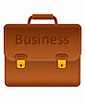 Organization validation SSL